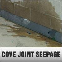 Cove Joint Seepage Problem & Solution